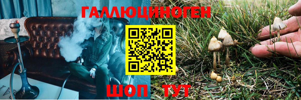 Салехард  Галлюциногенные грибы MAGIC MUSHROOMS  Вход с VPN  Галлюциногенные грибы GOLDEN TEACHER 